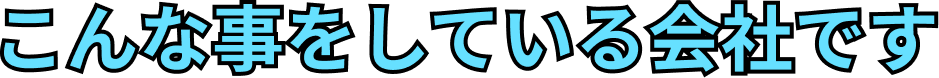こんな事をしている会社です