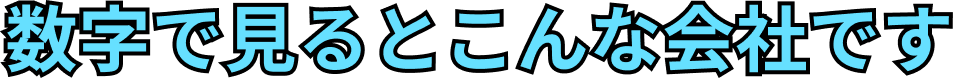 数字でみるとこんな会社です